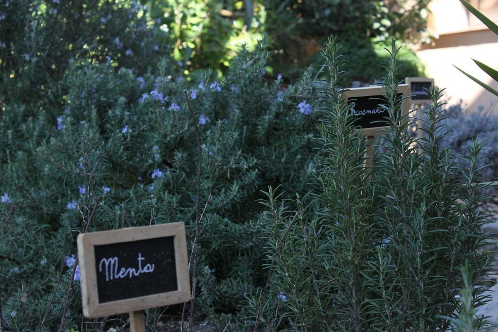 Bed and Breakfast La Caladina Mougins Zewnętrze zdjęcie